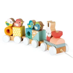 Janod Blokkentrein Pure