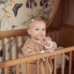 Jollein Bijtring Rubber Teddy Bear Biscuit -Little Dutch || Djeco Verkoopwinkel jollein jollein bijtring rubber teddy bear biscuit 3