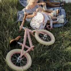 Little Dutch Loopfiets Mat Pink -Little Dutch || Djeco Verkoopwinkel little dutch little dutch loopfiets mat pink 6