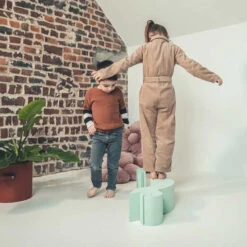 Moes Play Schildpad -Little Dutch || Djeco Verkoopwinkel moes play moes play schildpad 7