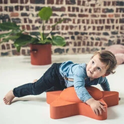 Moes Play Zeester Balance Board -Little Dutch || Djeco Verkoopwinkel moes play moes play zeester balance board 3