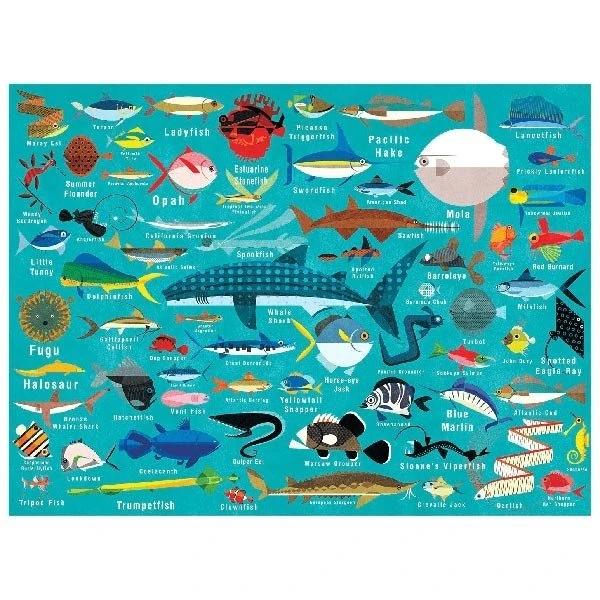 Mudpuppy Puzzel Ocean Life 1000 Stukjes 5 Mudpuppy Puzzel Ocean Life 1000 Stukjes - Afbeelding 3