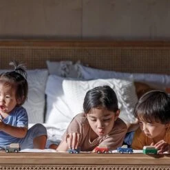 Plan Toys PlanWorld Auto Blauw +3 Jr -Little Dutch || Djeco Verkoopwinkel plan toys plan toys planworld auto blauw 3 jr 3