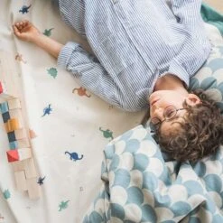 Play And Go Speelmat En Opbergzak Dino -Little Dutch || Djeco Verkoopwinkel play and go play and go speelmat en opbergzak dino 3