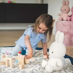 Play And Go Speelmat En Opbergzak Miffy 11 Play And Go Speelmat En Opbergzak Miffy -Little Dutch || Djeco Verkoopwinkel play and go play and go speelmat en opbergzak miff 2