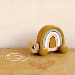 Roommate Trekdier Turtle