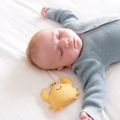 Tikiri Badspeeltje Met Belletje Krab -Little Dutch || Djeco Verkoopwinkel tikiri tikiri badspeeltje met belletje krab 4