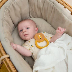 Trixie Bijtring Mr. Lion -Little Dutch || Djeco Verkoopwinkel trixie baby trixie bijtring mr lion 3