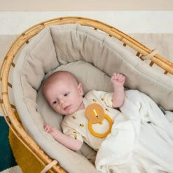 Trixie Bijtring Mr. Lion -Little Dutch || Djeco Verkoopwinkel trixie baby trixie bijtring mr lion 4